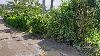 Resiential Lot for Sale in Brgy. Iruhin, Tagaytay